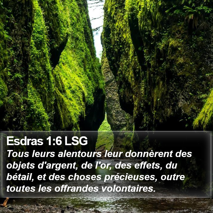 Esdras 1:6 LSG Bible Study