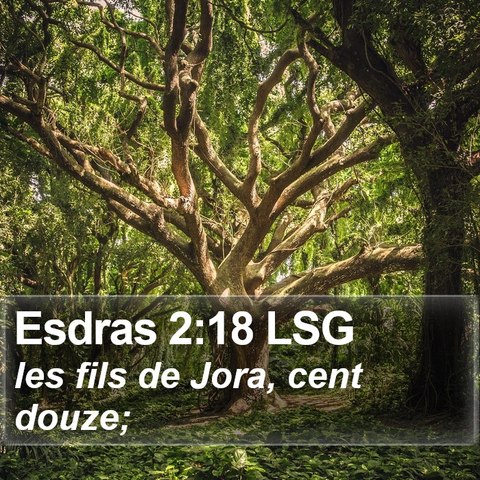 Esdras 2:18 LSG Bible Study