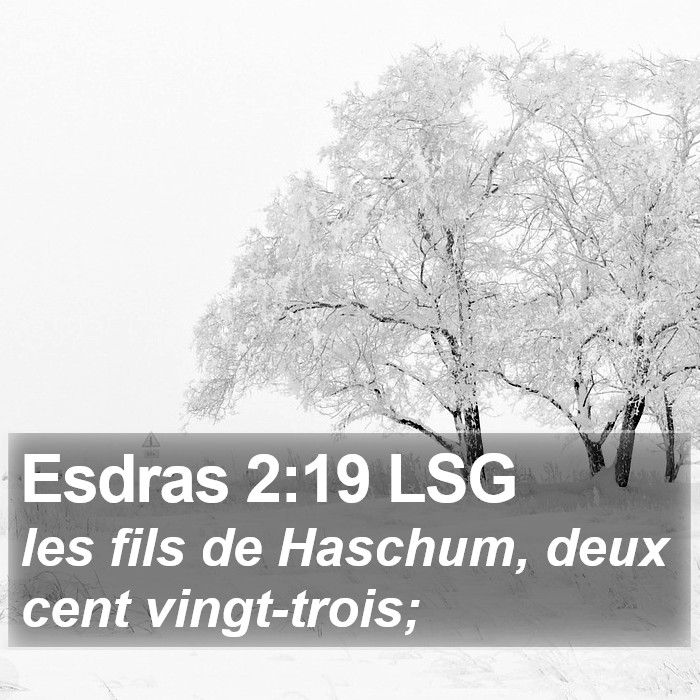 Esdras 2:19 LSG Bible Study