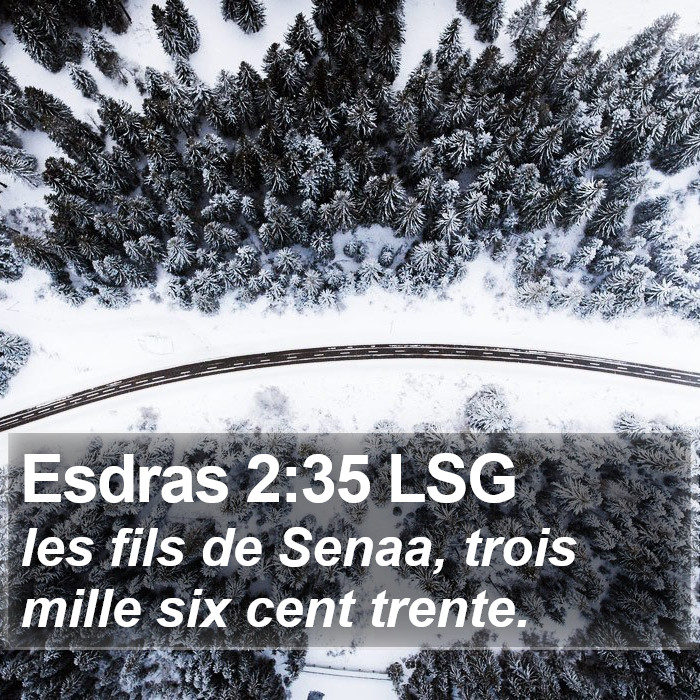 Esdras 2:35 LSG Bible Study