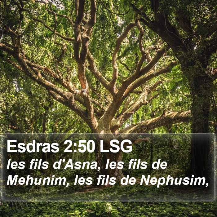 Esdras 2:50 LSG Bible Study