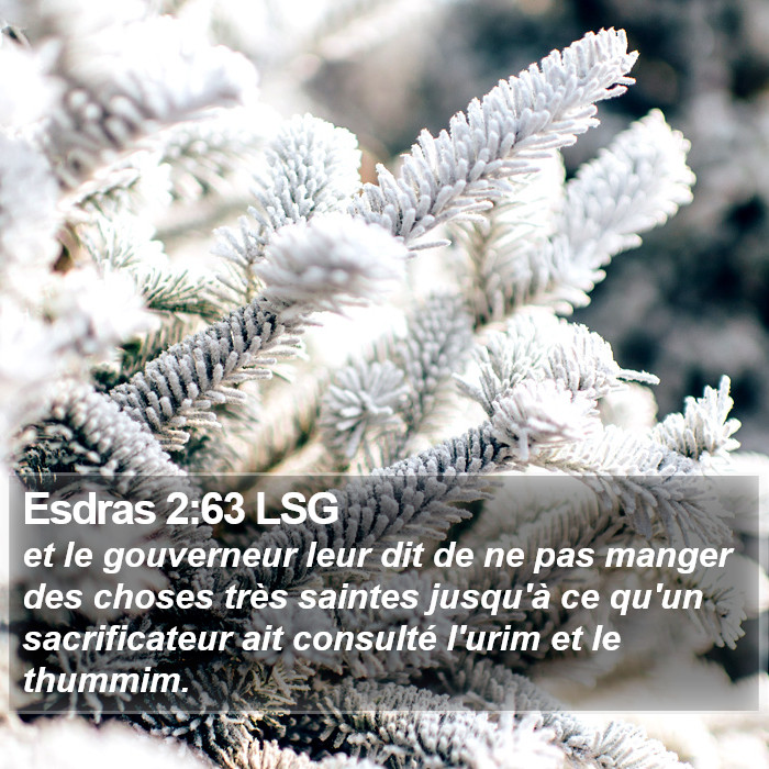 Esdras 2:63 LSG Bible Study