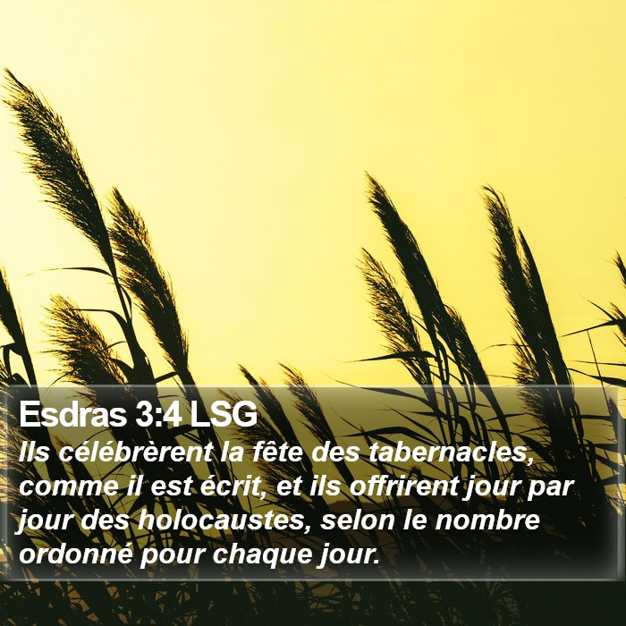 Esdras 3:4 LSG Bible Study