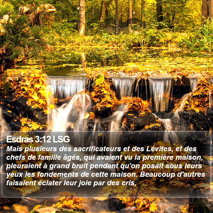 Esdras 3:12 LSG Bible Study