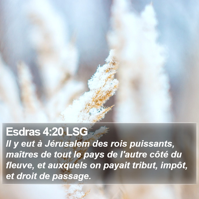 Esdras 4:20 LSG Bible Study