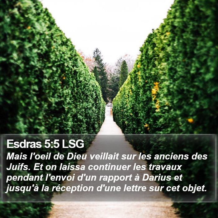 Esdras 5:5 LSG Bible Study