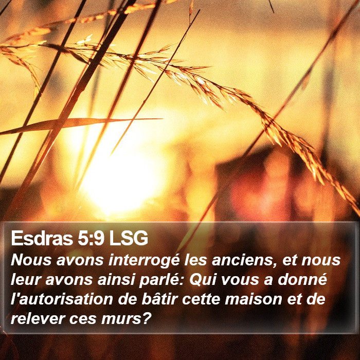 Esdras 5:9 LSG Bible Study