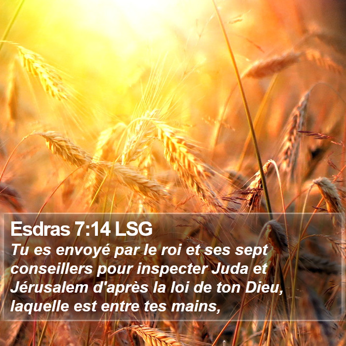 Esdras 7:14 LSG Bible Study