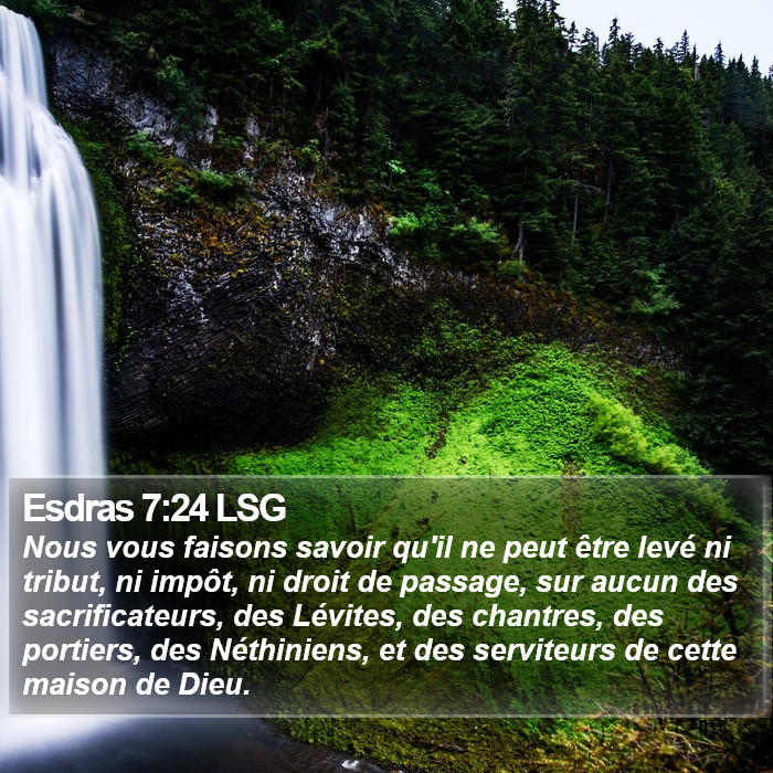 Esdras 7:24 LSG Bible Study