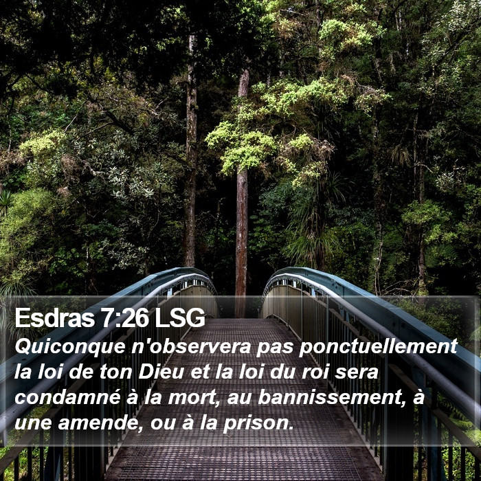 Esdras 7:26 LSG Bible Study