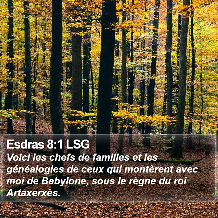 Esdras 8:1 LSG Bible Study