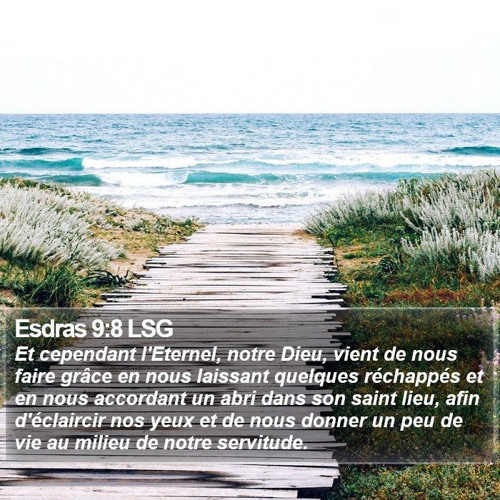 Esdras 9:8 LSG Bible Study