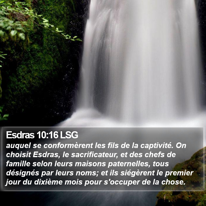 Esdras 10:16 LSG Bible Study