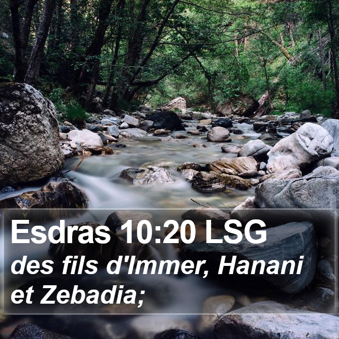 Esdras 10:20 LSG Bible Study