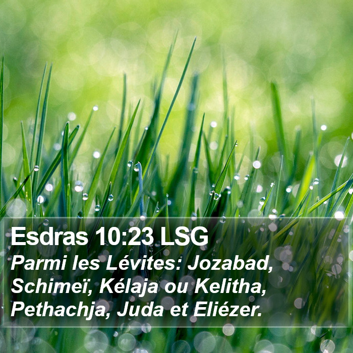 Esdras 10:23 LSG Bible Study
