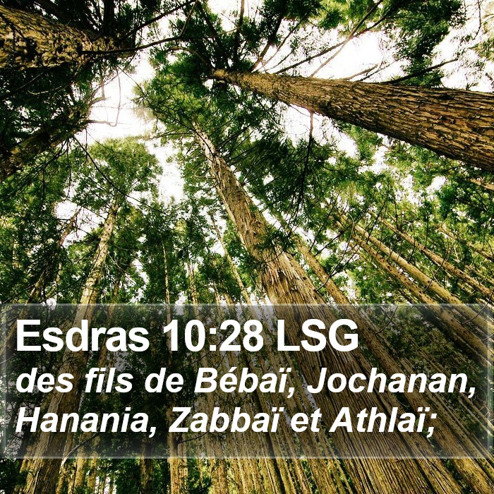 Esdras 10:28 LSG Bible Study