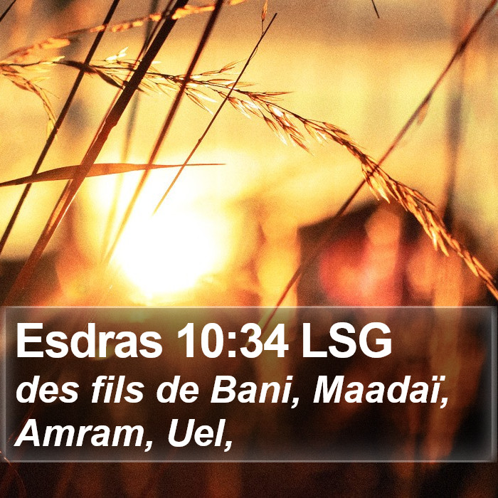 Esdras 10:34 LSG Bible Study