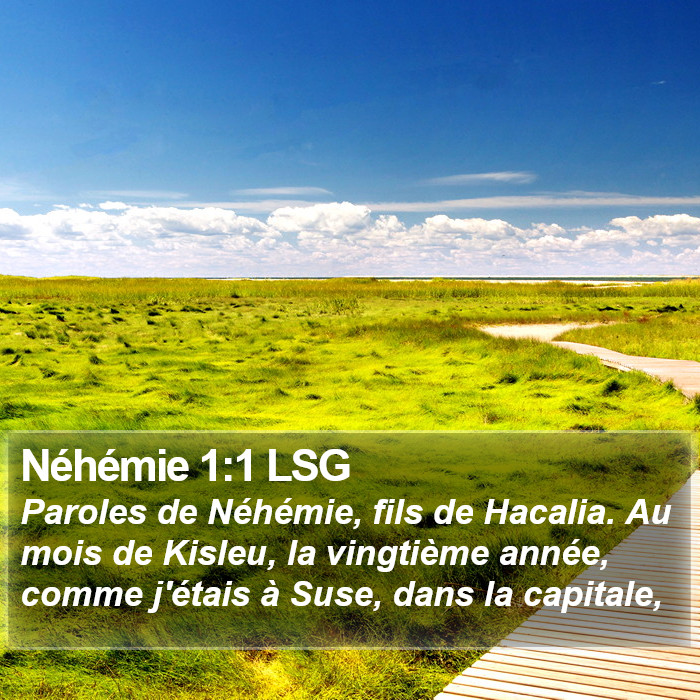 Néhémie 1:1 LSG Bible Study