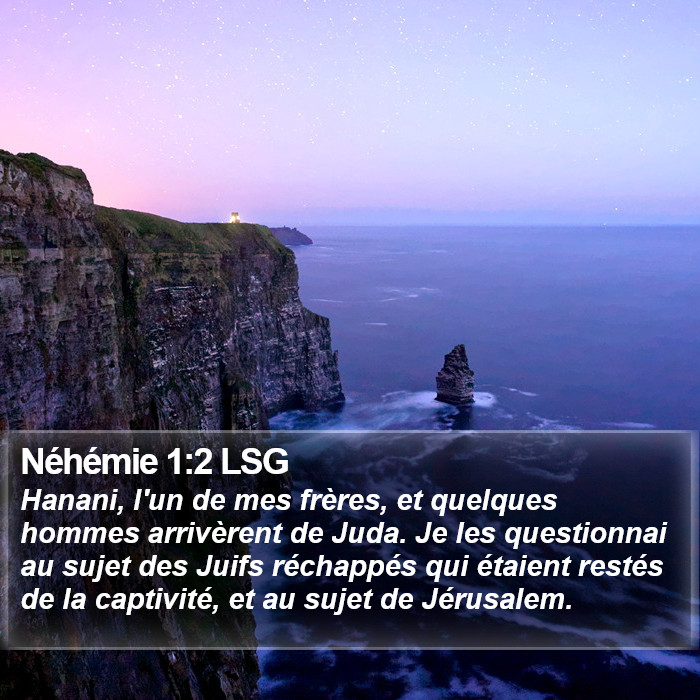 Néhémie 1:2 LSG Bible Study