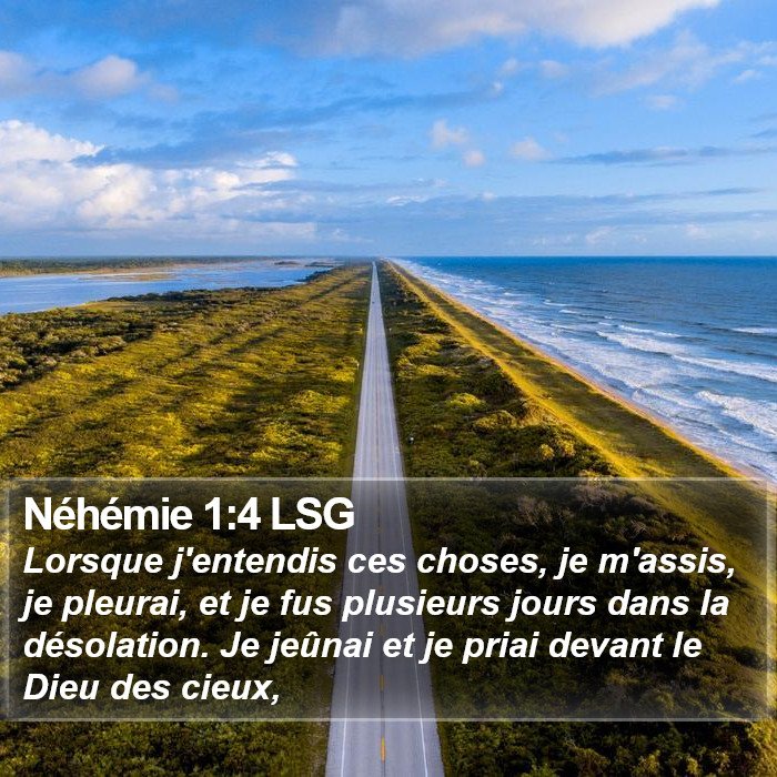 Néhémie 1:4 LSG Bible Study