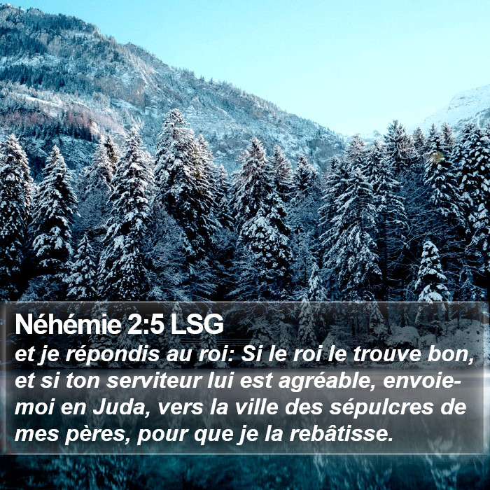 Néhémie 2:5 LSG Bible Study