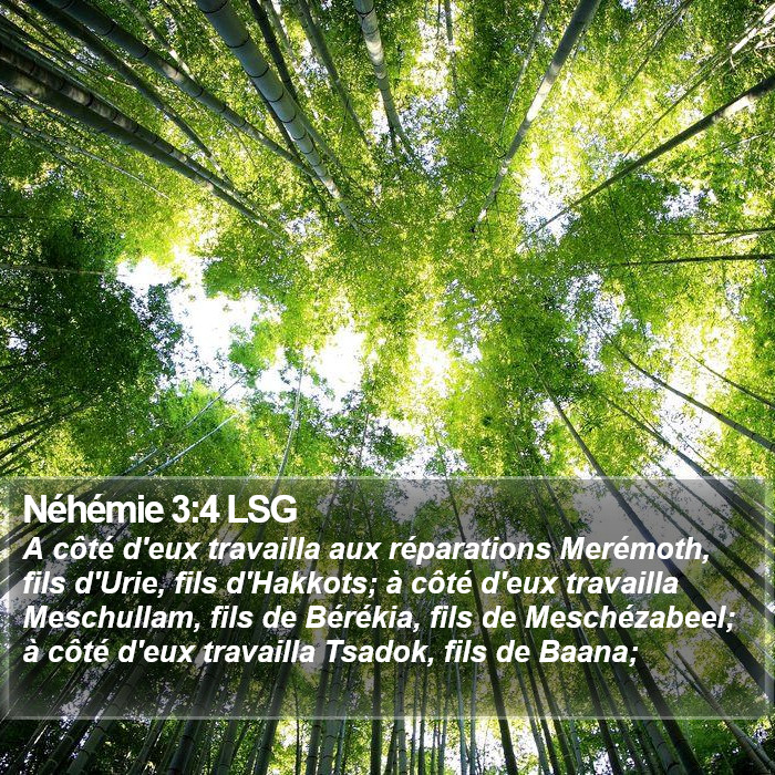 Néhémie 3:4 LSG Bible Study
