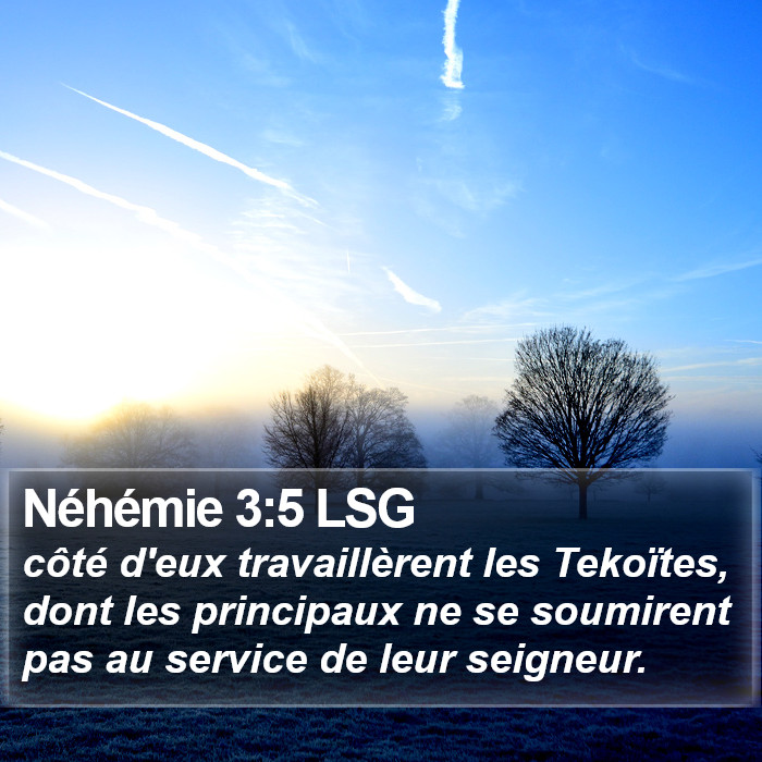 Néhémie 3:5 LSG Bible Study
