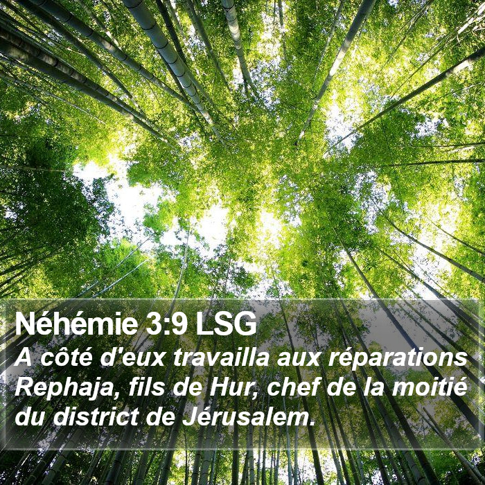 Néhémie 3:9 LSG Bible Study