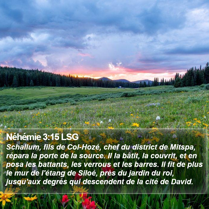 Néhémie 3:15 LSG Bible Study