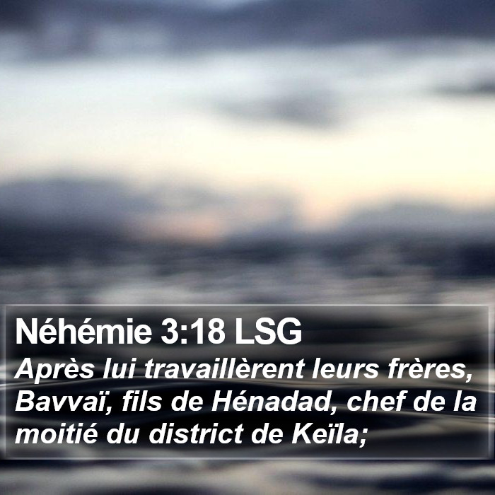 Néhémie 3:18 LSG Bible Study