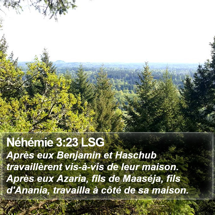 Néhémie 3:23 LSG Bible Study
