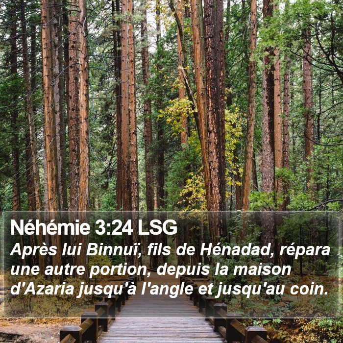 Néhémie 3:24 LSG Bible Study