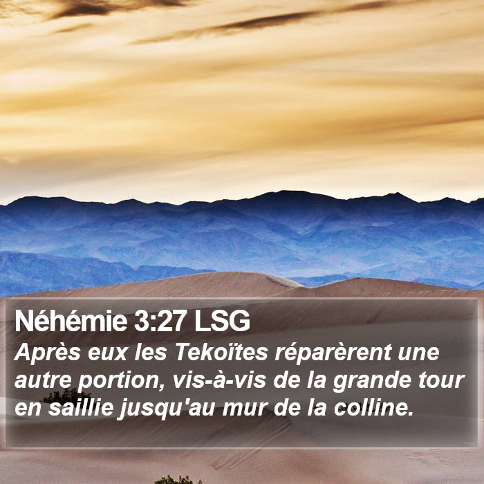 Néhémie 3:27 LSG Bible Study