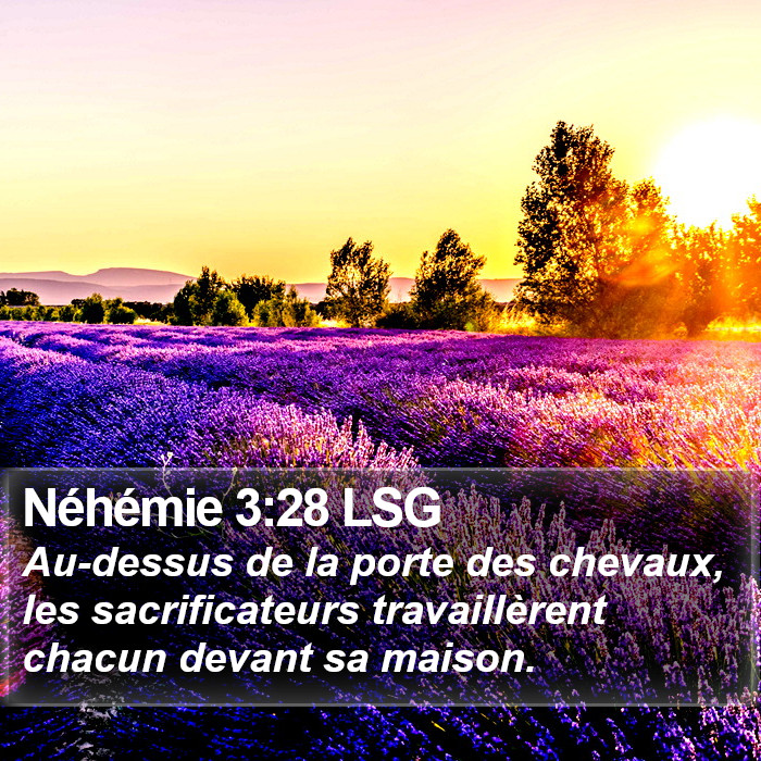 Néhémie 3:28 LSG Bible Study