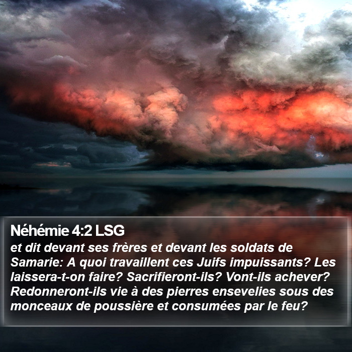 Néhémie 4:2 LSG Bible Study