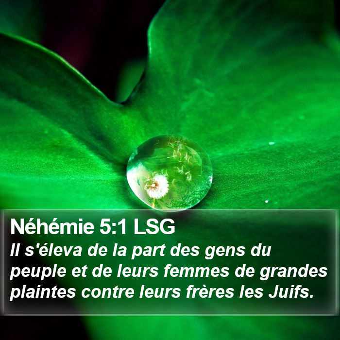 Néhémie 5:1 LSG Bible Study