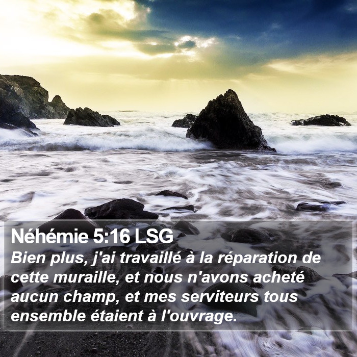 Néhémie 5:16 LSG Bible Study