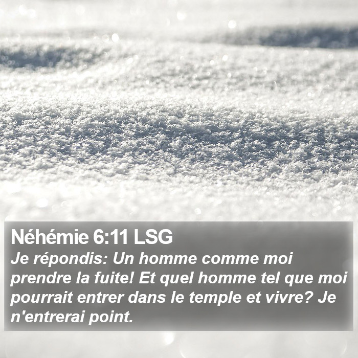 Néhémie 6:11 LSG Bible Study