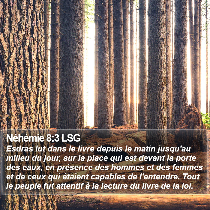 Néhémie 8:3 LSG Bible Study