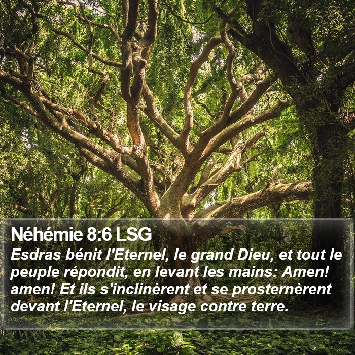 Néhémie 8:6 LSG Bible Study