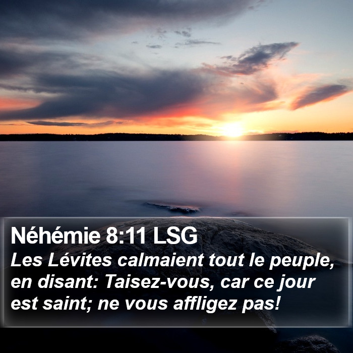 Néhémie 8:11 LSG Bible Study