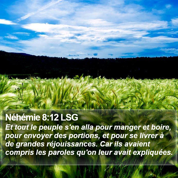 Néhémie 8:12 LSG Bible Study