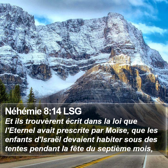 Néhémie 8:14 LSG Bible Study