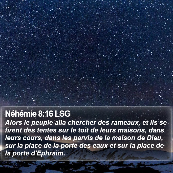 Néhémie 8:16 LSG Bible Study