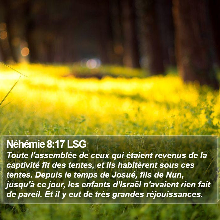 Néhémie 8:17 LSG Bible Study