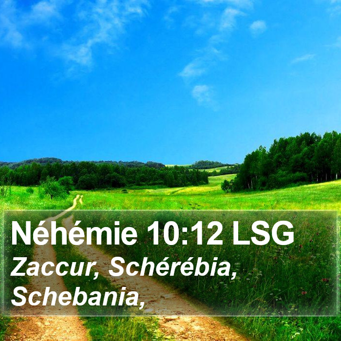 Néhémie 10:12 LSG Bible Study