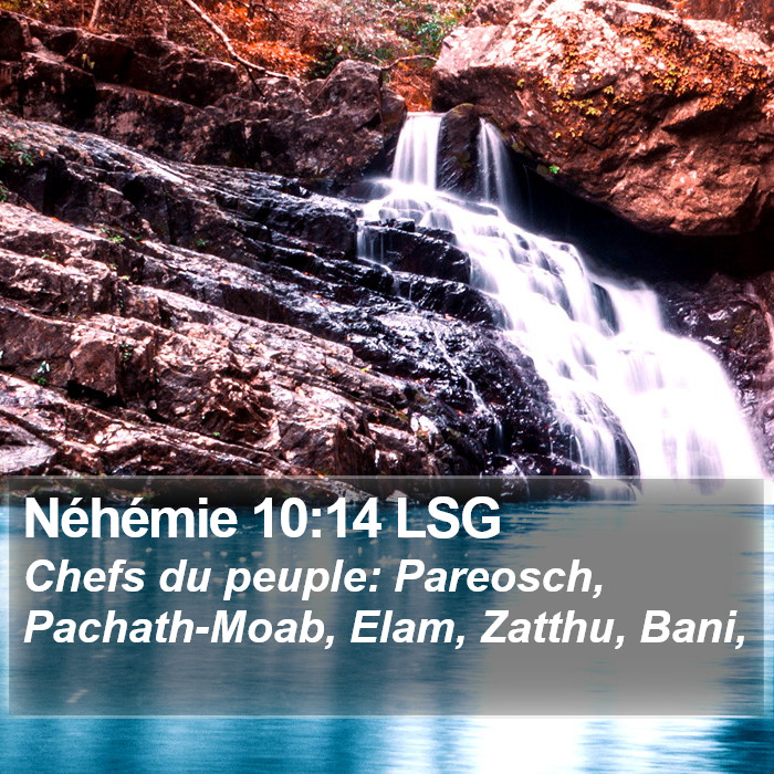 Néhémie 10:14 LSG Bible Study