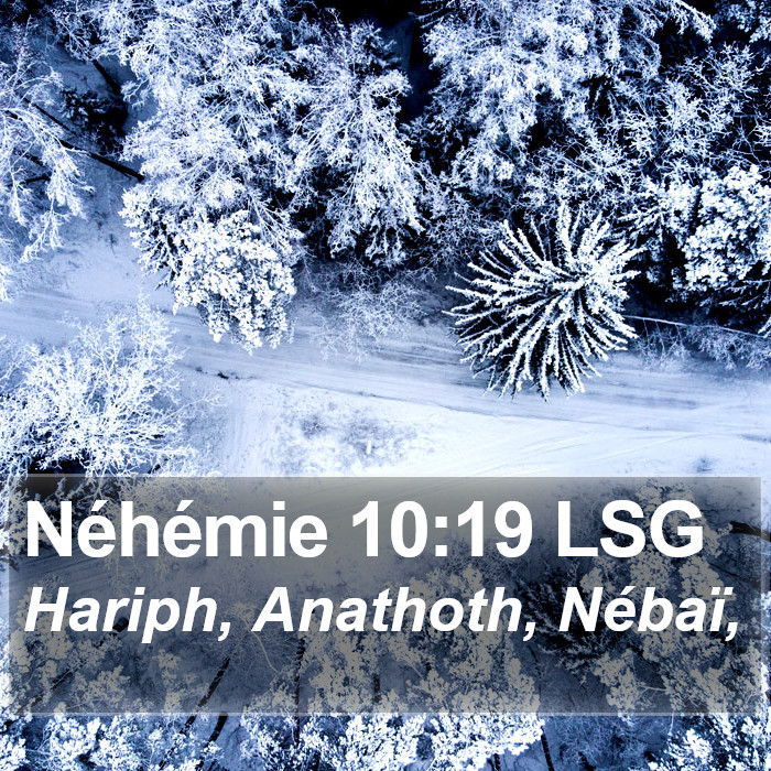 Néhémie 10:19 LSG Bible Study