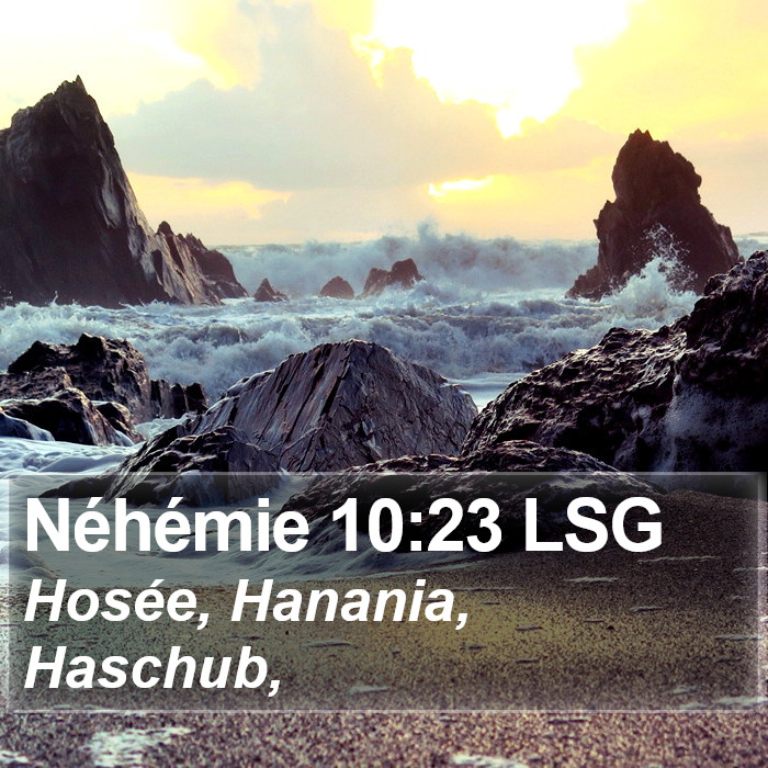 Néhémie 10:23 LSG Bible Study
