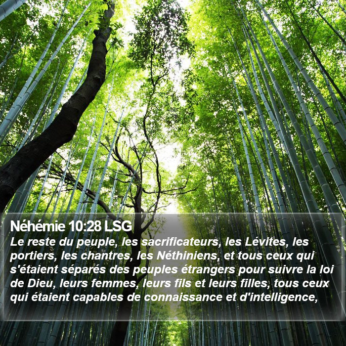 Néhémie 10:28 LSG Bible Study